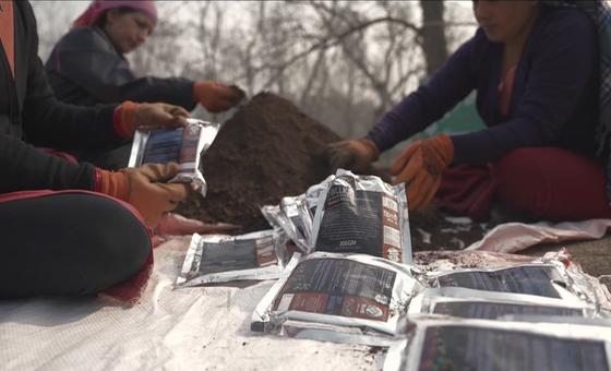 नेपाल–वन के कचरे से खाद उत्पादन, आय के साथ-साथ पर्यावरण की भी मदद